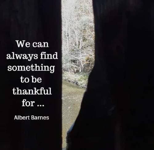 We can always find something to be thankful for
