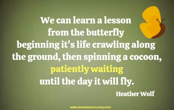 We can learn a lesson from the butterfly beginning it's life crawling along the ground, then spinning a cocoon, patiently waiting until the day it will fly.