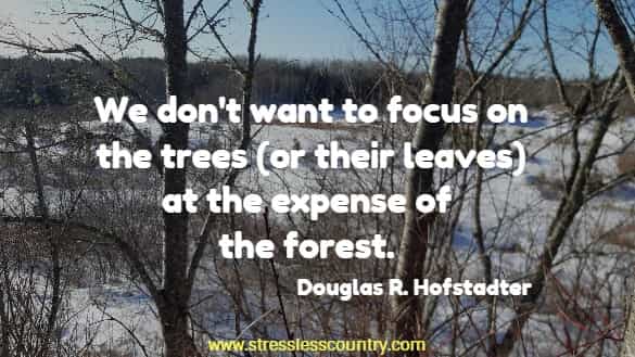we don't want to focus on trees...