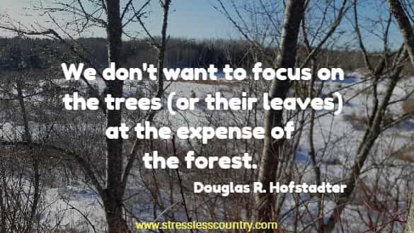 we don't want to focus on trees (or their leaves) at the expense of the forest