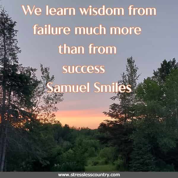 We learn wisdom from failure much more than from success