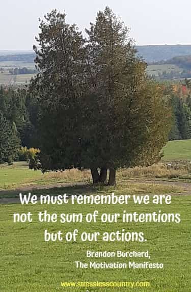 We must remember we are not the sum of our intentions but of our actions. Brendon Burchard, The Motivation Manifesto