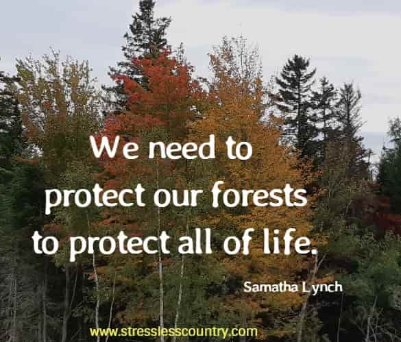 protect our woodlands