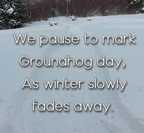 we pause to mark Groundhog day, As winter slowly fades away.