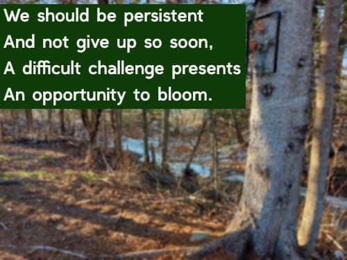 We should be persistent And not give up so soon, A difficult challenge presents An opportunity to bloom