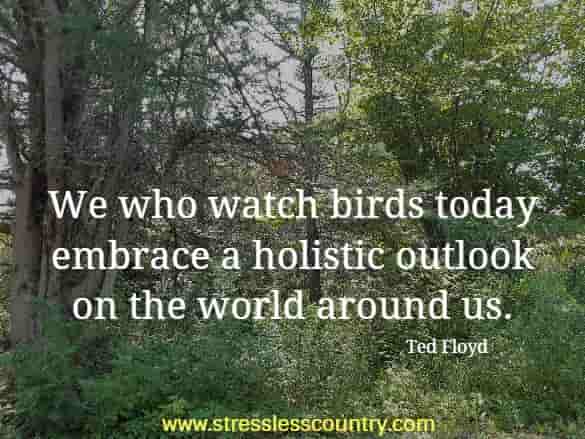 We who watch birds today embrace a holistic outlook on the world around us. 