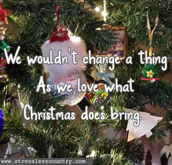 But we wouldn't change a thing As we love what Christmas does bring.