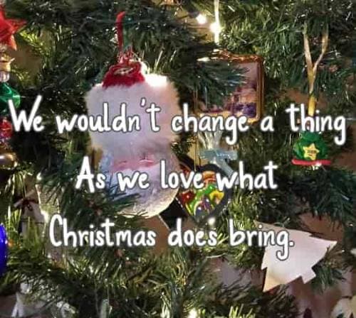 But we wouldn't change a thing As we love what Christmas does bring.