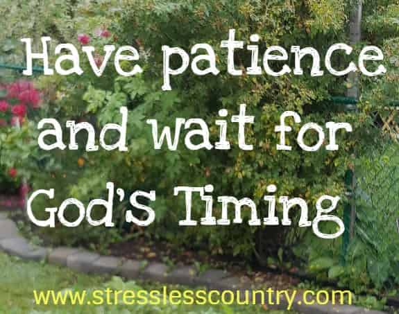 have patience and wait for God's timing