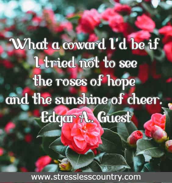 What a coward I'd be if I tried not to see the roses of hope and the sunshine of cheer.