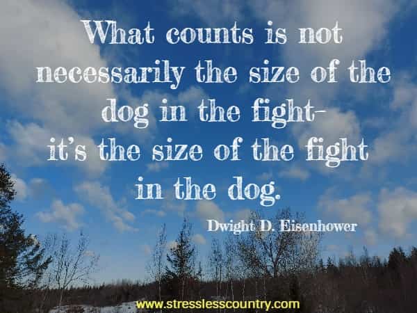 What counts is not necessarily the size of the dog in the fight–it’s the size of the fight in the dog.