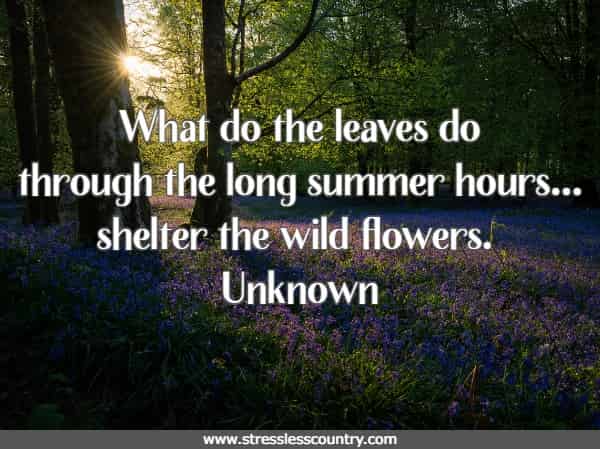 What do the leaves do through the long summer hours...shelter the wild flowers.