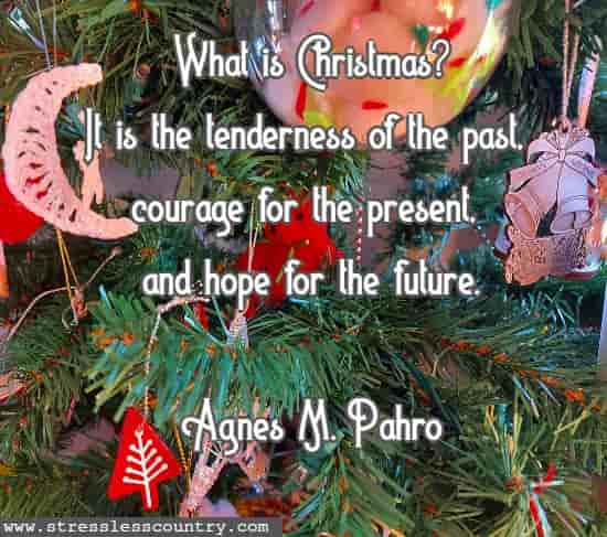 What is Christmas? It is the tenderness of the past, courage for the present, and hope for the future. Agnes M. Pahro