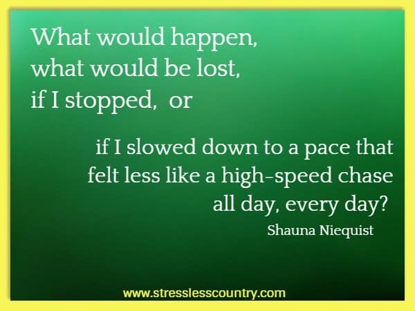 What would happen, what would be lost, if I stopped, or if I slowed down to a pace that felt less like a high-speed chase all day, every day?