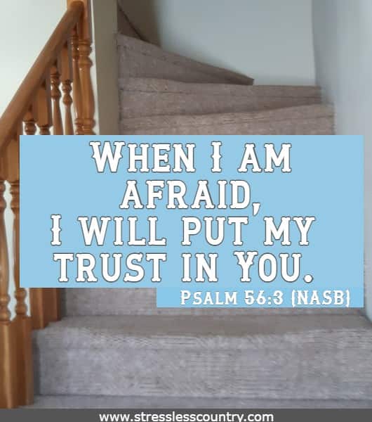  When I am afraid, I will put my trust in You.