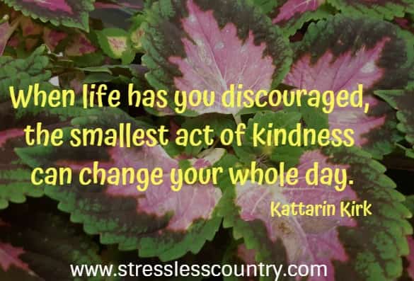  	When life has you discouraged, the smallest act of kindness can change your whole day.