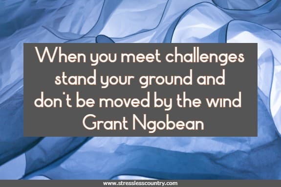 When you meet challenges stand your ground and don't be moved by the wind