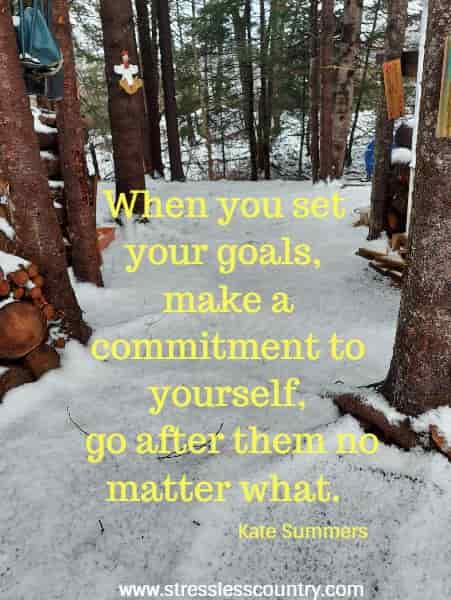 When you set your goals, make a commitment to yourself, go after them no matter what.