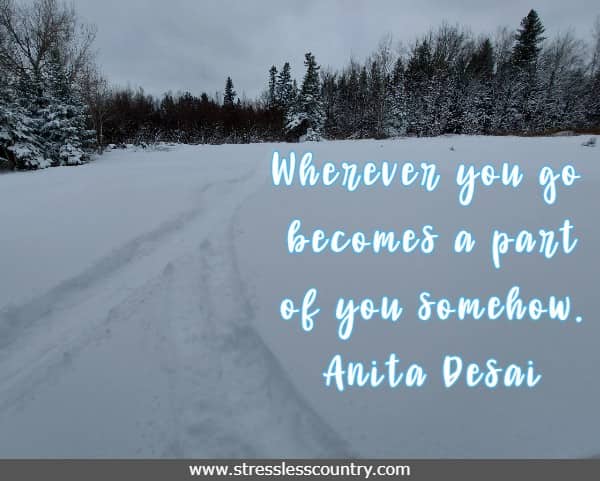 Wherever you go becomes a part of you somehow. Anita Desai