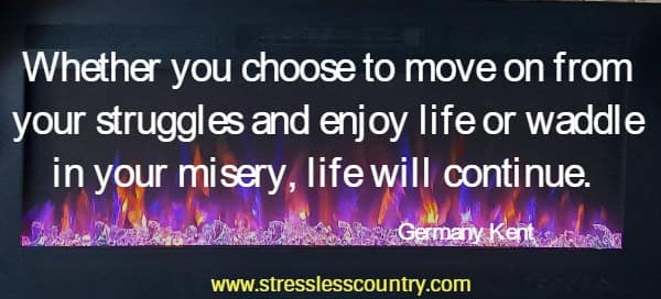 Whether you choose to move on from your struggles and enjoy life or waddle in your misery, life will continue.