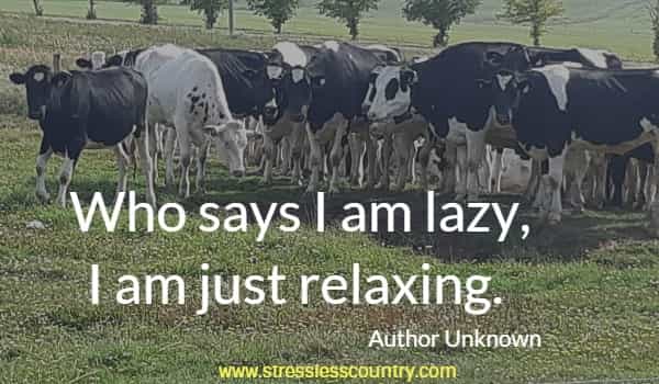 Who says I am lazy, I am just relaxing.