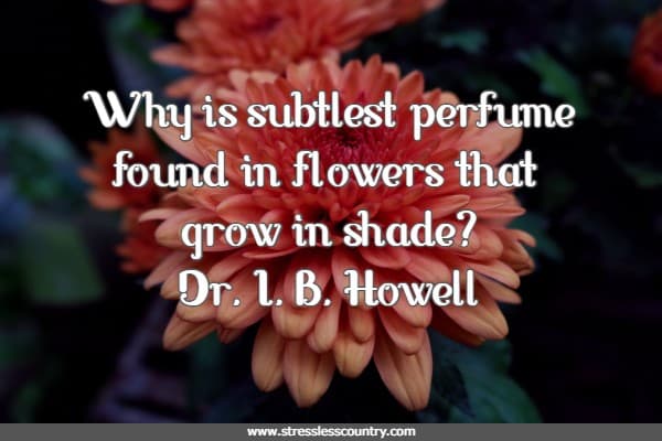 Why is subtlest perfume found in flowers that grow in shade?