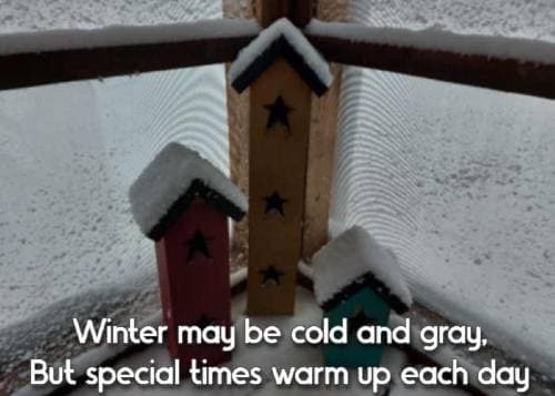 Winter may be cold and gray, But special times warm up each day