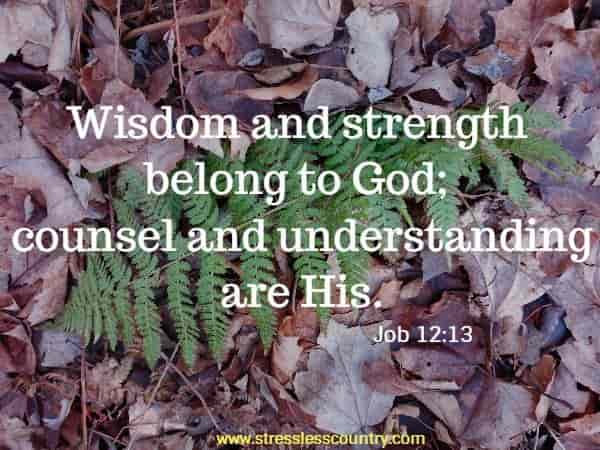 Wisdom and strength belong to God; counsel and understanding are His.