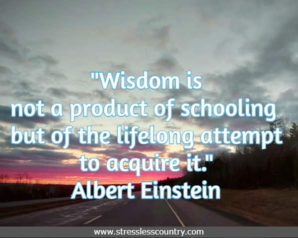 Wisdom is not a product of schooling but of the lifelong attempt to acquire it. Albert Einstein