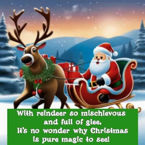 With reindeer so mischievous and full of glee, It's no wonder why Christmas is pure magic to see!