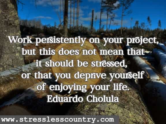  Work persistently on your project, but this does not mean that it should be stressed, or that you deprive yourself of enjoying your life.