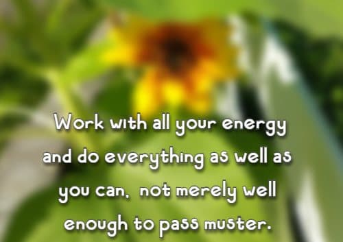 Work with all your energy and do everything as well as you can,  not merely well enough to pass muster.