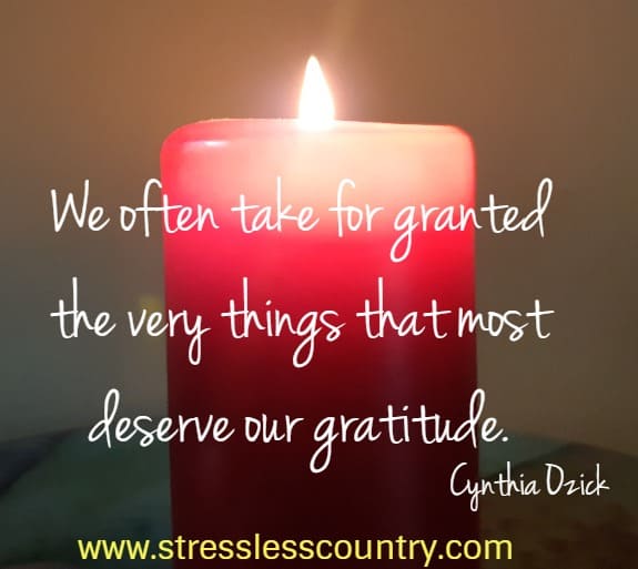 We often take for granted the very things that most deserve our gratitude