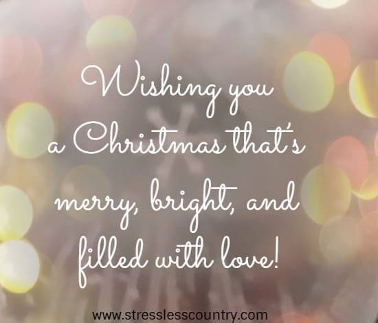 Wishing you a Christmas that's merry, bright, and filled with love!