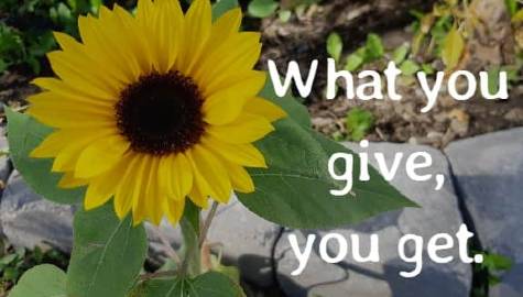 what you give you get
