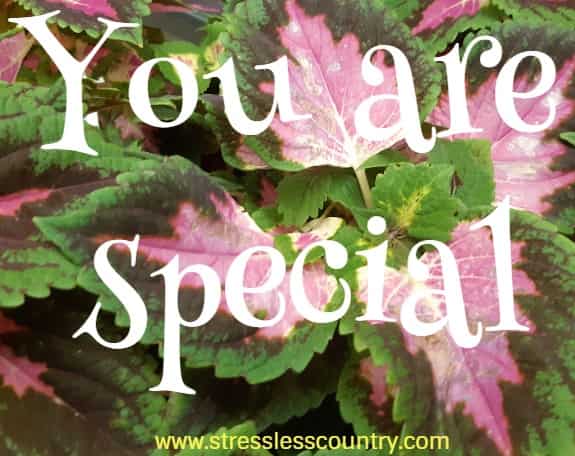 you are special