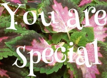 you are special
