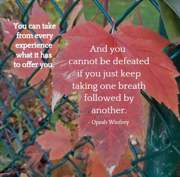 	You can take from every experience what it has to offer you. And you cannot be defeated if you just keep taking one breath followed by another.