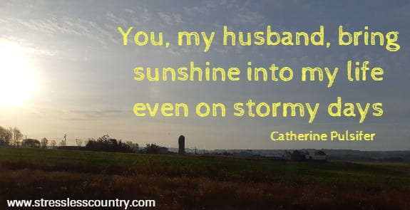 you, my husband, bring sunshine into my life even on stormy days
