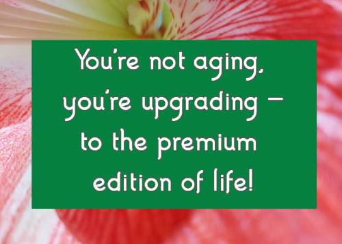You're not aging, you're upgrading—to the premium edition of life!