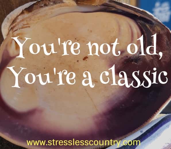you're not old, you're a classic
