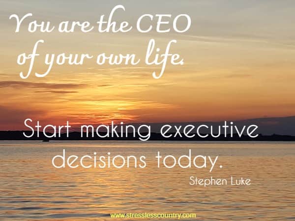 	You are the CEO of your own life. Start making executive decisions today.