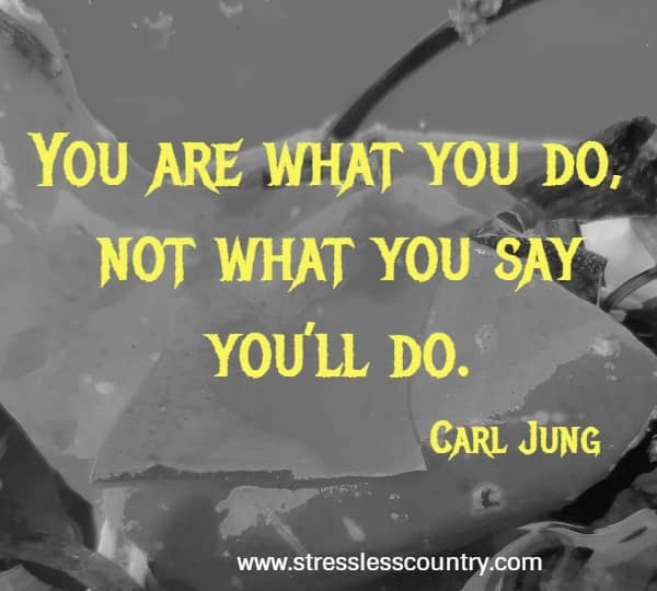 You are what you do, not what you say you’ll do.