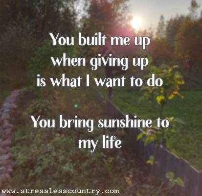 You built me up when giving up is what I want to do You bring sunshine to my life