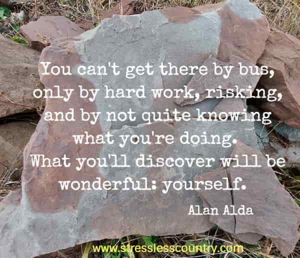  You can't get there by bus, only by hard work, risking, and by not quite knowing what you're doing. What you'll discover will be wonderful: yourself.