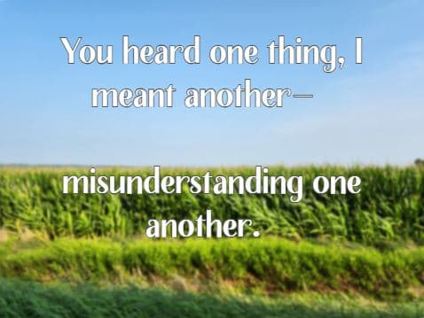 You heard one thing, I meant another— misunderstanding one another.
