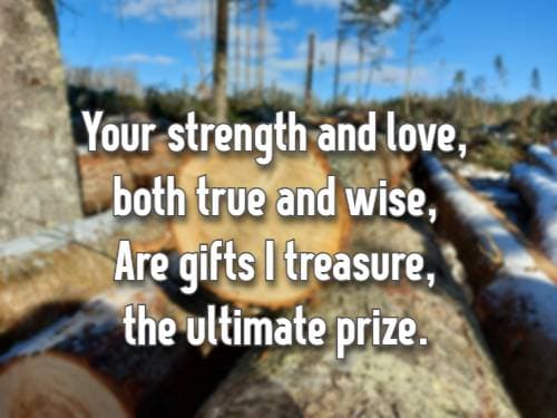 Your strength and love, both true and wise, Are gifts I treasure, the ultimate prize.