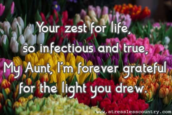 Your zest for life, so infectious and true, My Aunt, I'm forever grateful for the light you drew.
