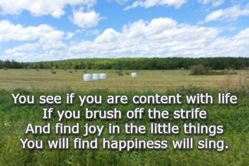 You see if you are content with life If you brush off the strife And find joy in the little things You will find happiness will sing