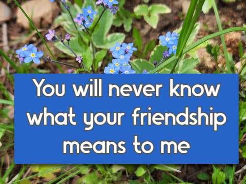 You will never know what your friendship means to me